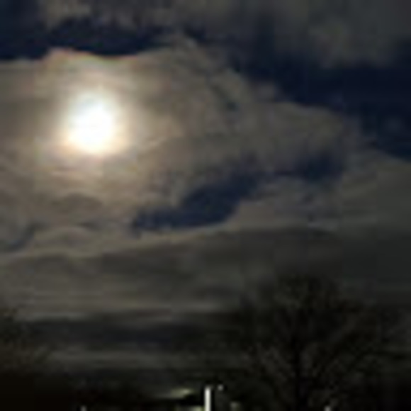 Meet your Posher, Josh - Picture 1 of 1